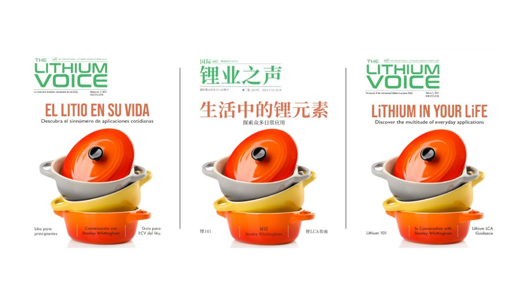 Read more about the article The Lithium Voice, Volume 2