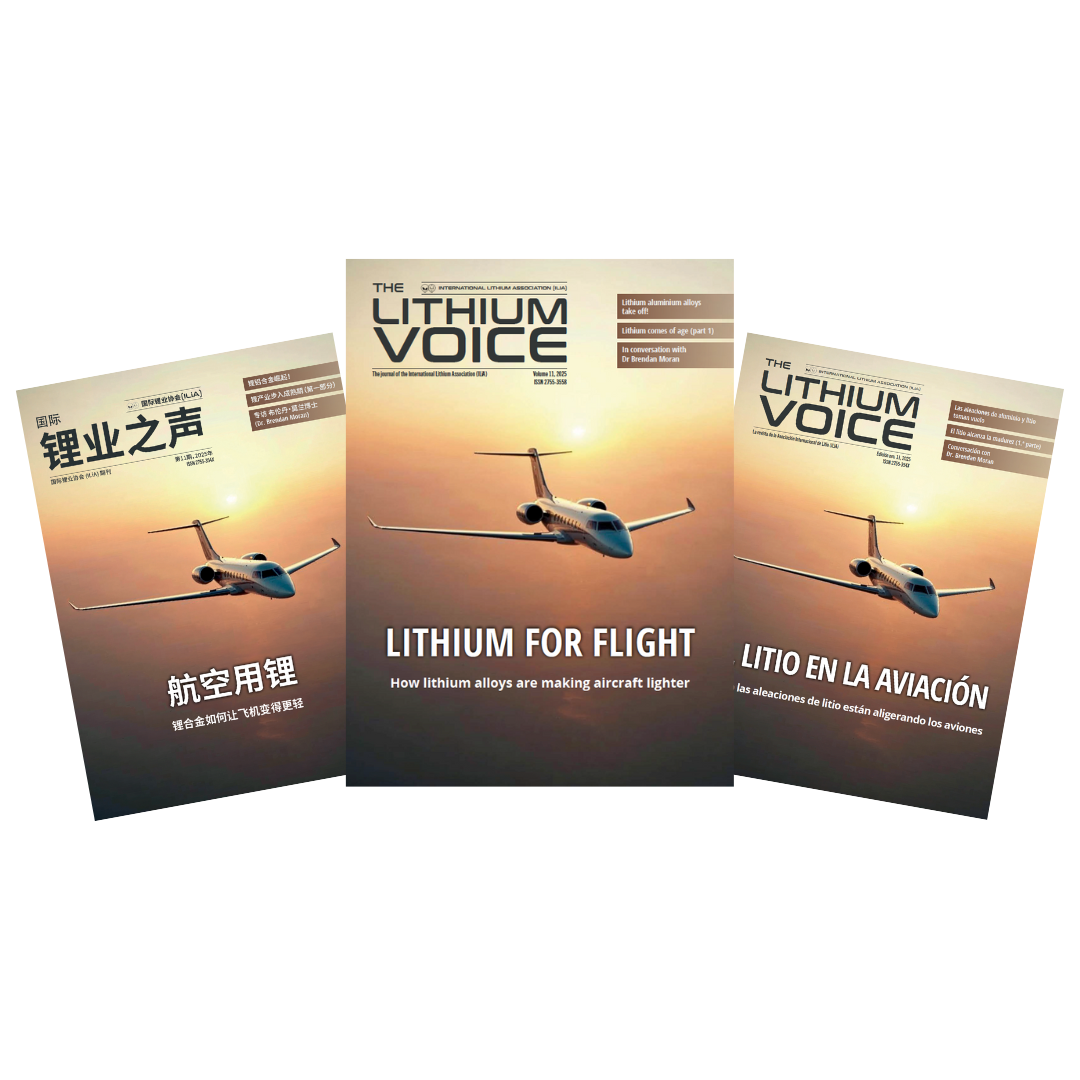 Read more about the article The Lithium Voice, Volume 11